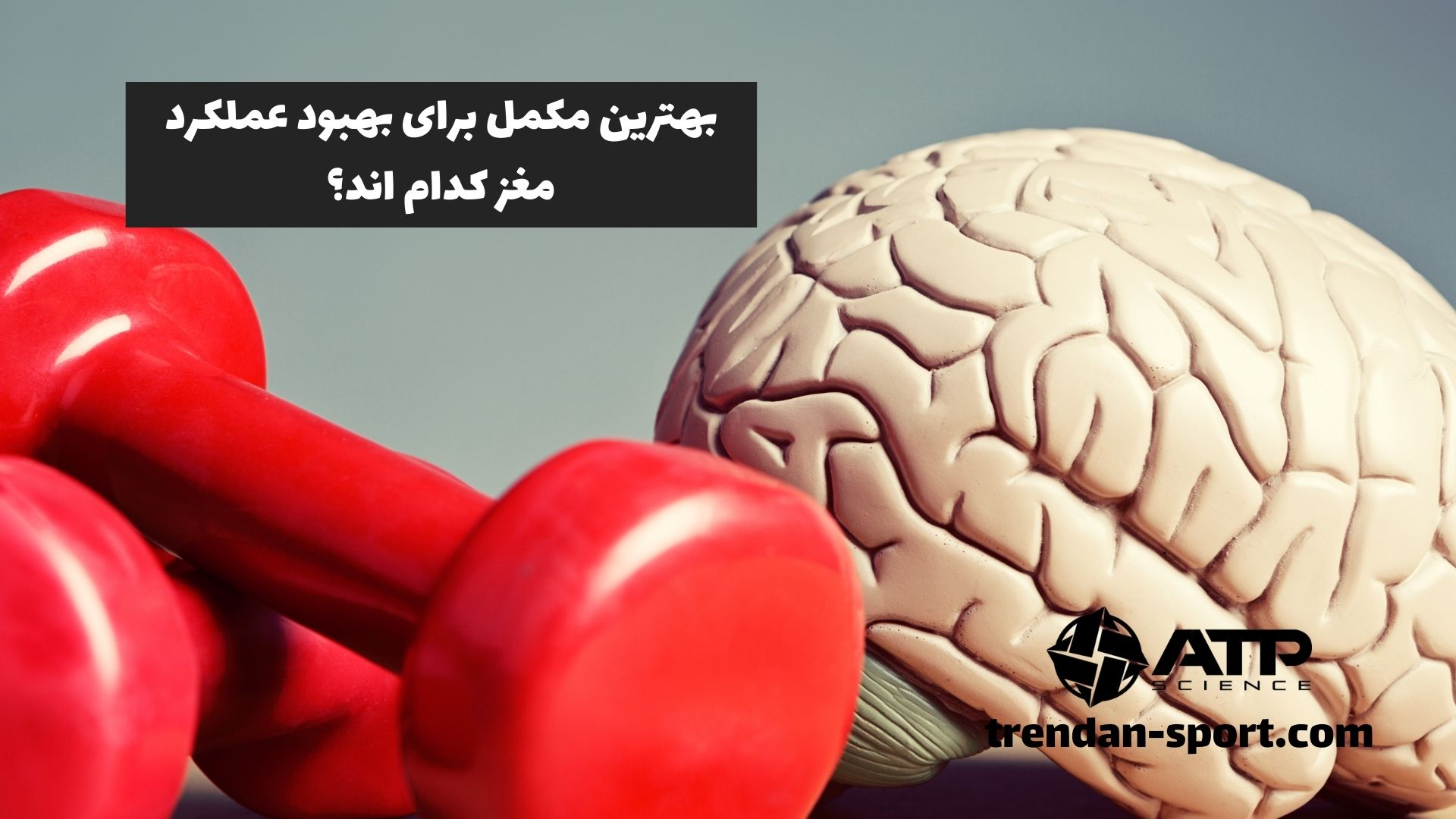 بھترین مکمل برای بھبود عملکرد مغز کدام مکمل ها می باشند؟