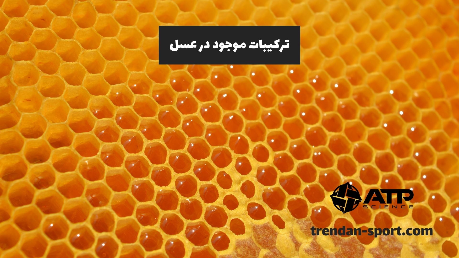 ترکیبات موجود در عسل