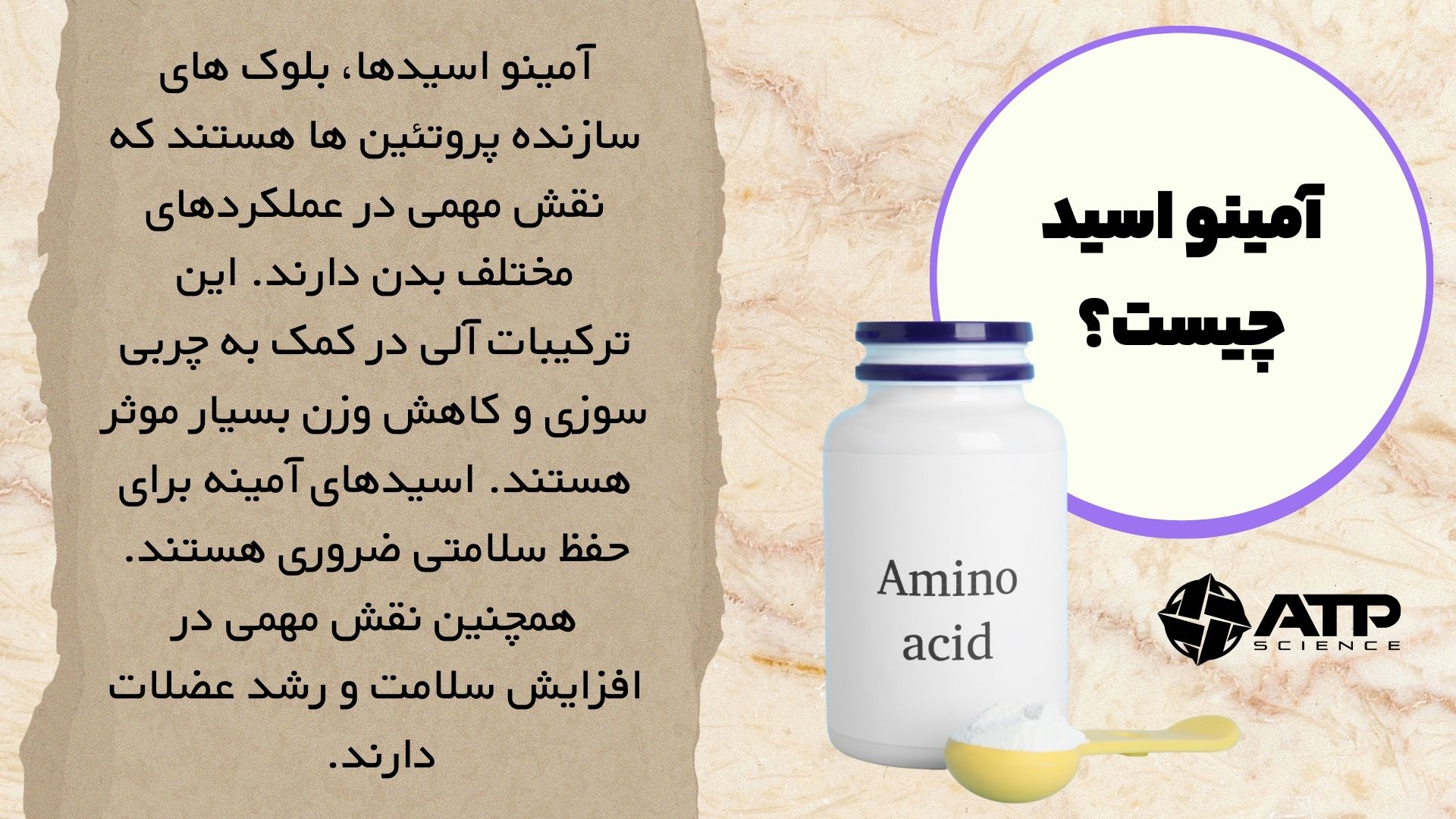 آمینو اسید چیست؟
