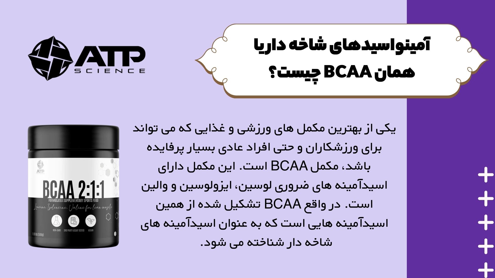 آمینواسیدهای شاخه دار یا همان BCAA چیست؟