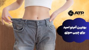 بهترین آمینو اسید برای چربی سوزی