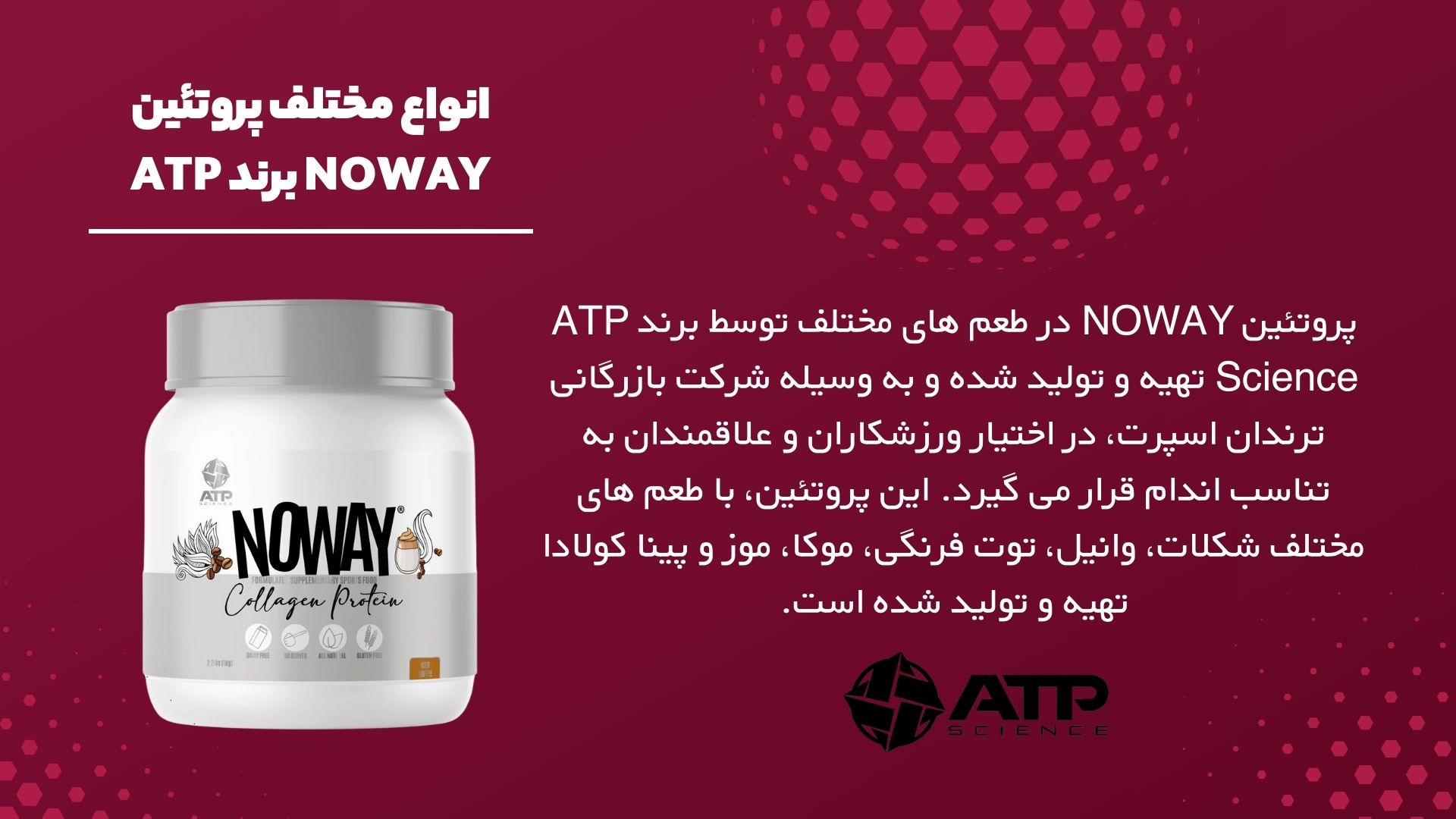 انواع مختلف پروتئین NOWAY برند ATP